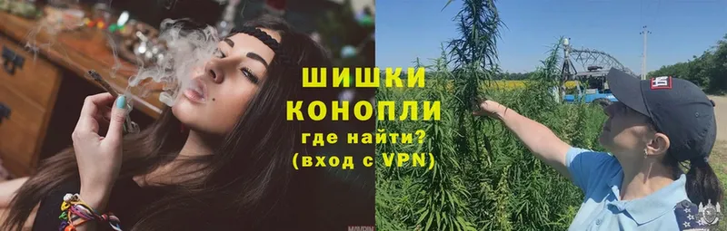 Бошки Шишки план  Южно-Сахалинск 